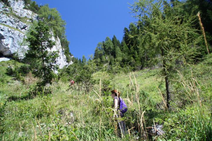 Nome:   IMG_86361.jpg
Visite:  107
Grandezza:  102.2 KB