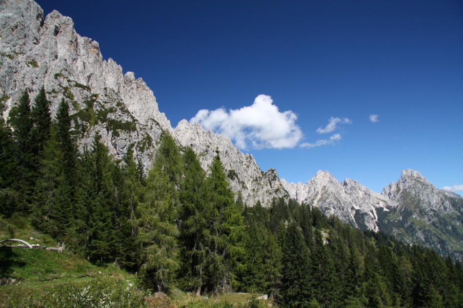 Nome:   IMG_86601.jpg
Visite:  93
Grandezza:  97.3 KB