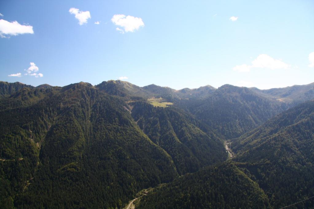Nome:   IMG_86671.jpg
Visite:  105
Grandezza:  65.0 KB