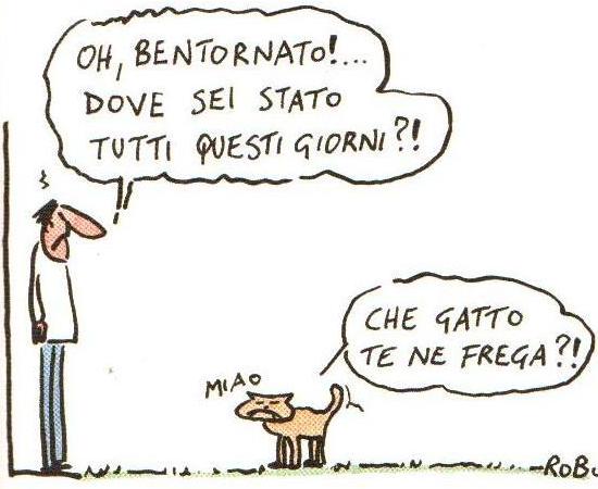 Nome:   vignette escursioni001.jpg
Visite:  4941
Grandezza:  36.2 KB