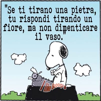 Nome:   150598_559089980770894_1687249622_n.jpg
Visite:  1514
Grandezza:  34.2 KB