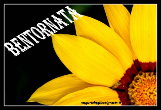 Nome:   girasole_f.jpg
Visite:  107
Grandezza:  37.2 KB