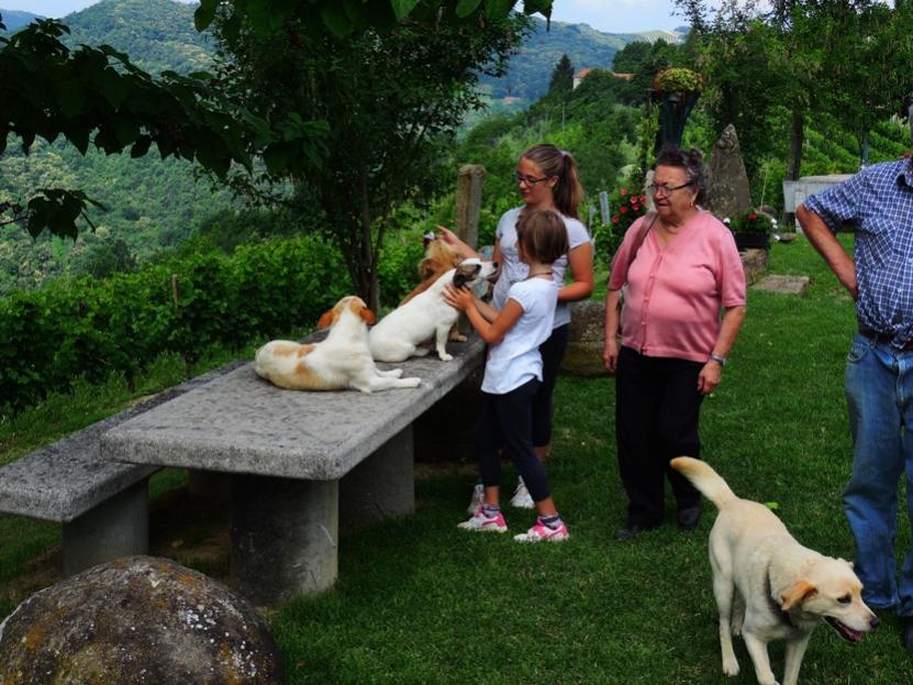 Nome:   asini 109 giochi coi cani.jpg
Visite:  135
Grandezza:  97.6 KB
