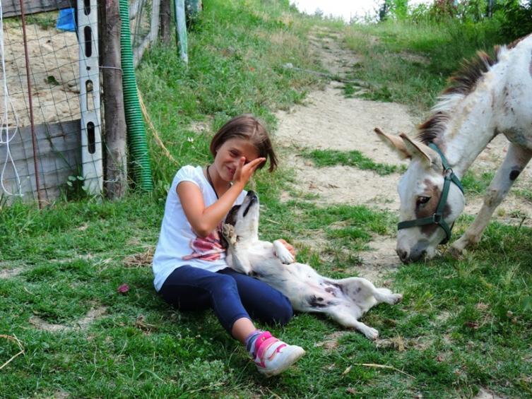 Nome:   asini 075 votto con cane.jpg
Visite:  140
Grandezza:  100.8 KB