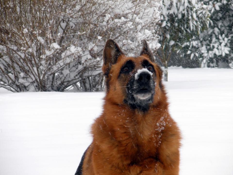 Nome:   neve 19 dicembre 013.jpg
Visite:  899
Grandezza:  91.3 KB
