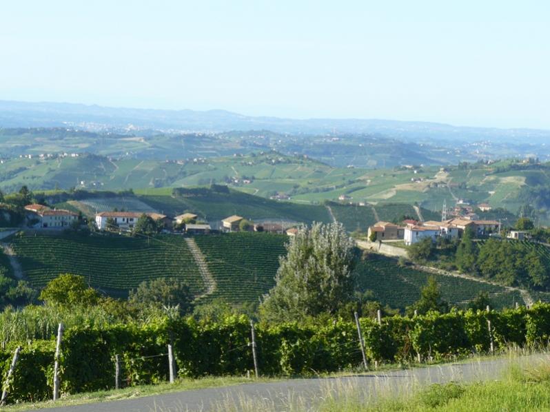 Nome:   P1130969 colline mango.jpg
Visite:  149
Grandezza:  72.3 KB
