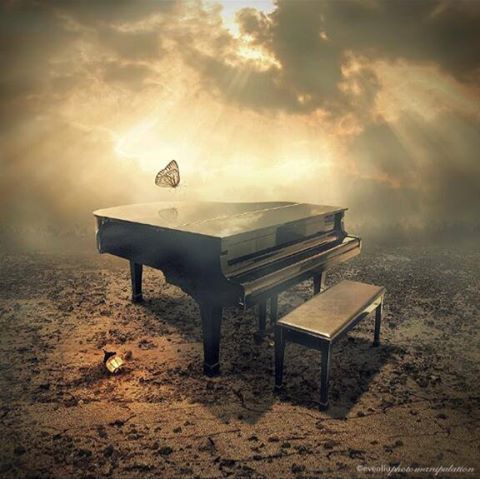 Nome:   10710949_972235572792141_8406260797226770019_n.jpg
Visite:  545
Grandezza:  40.3 KB