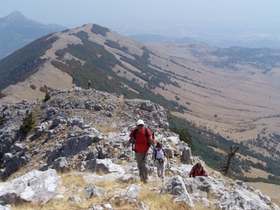 Nome:   calabria 220 enzo.jpg
Visite:  198
Grandezza:  48.9 KB