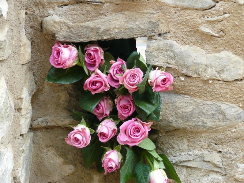 Nome:   P1020567 rose ridotte.jpg
Visite:  7130
Grandezza:  98.4 KB