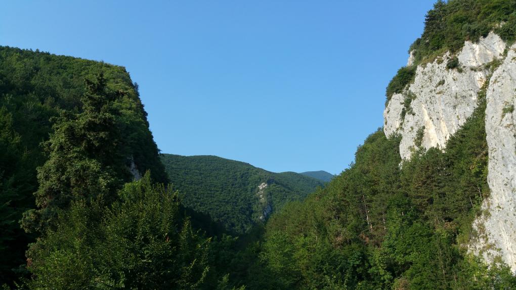 Nome:   20150810_081445.jpg
Visite:  633
Grandezza:  97.5 KB