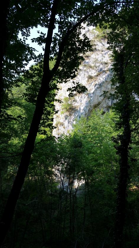 Nome:   20150810_093659media.jpg
Visite:  559
Grandezza:  99.9 KB