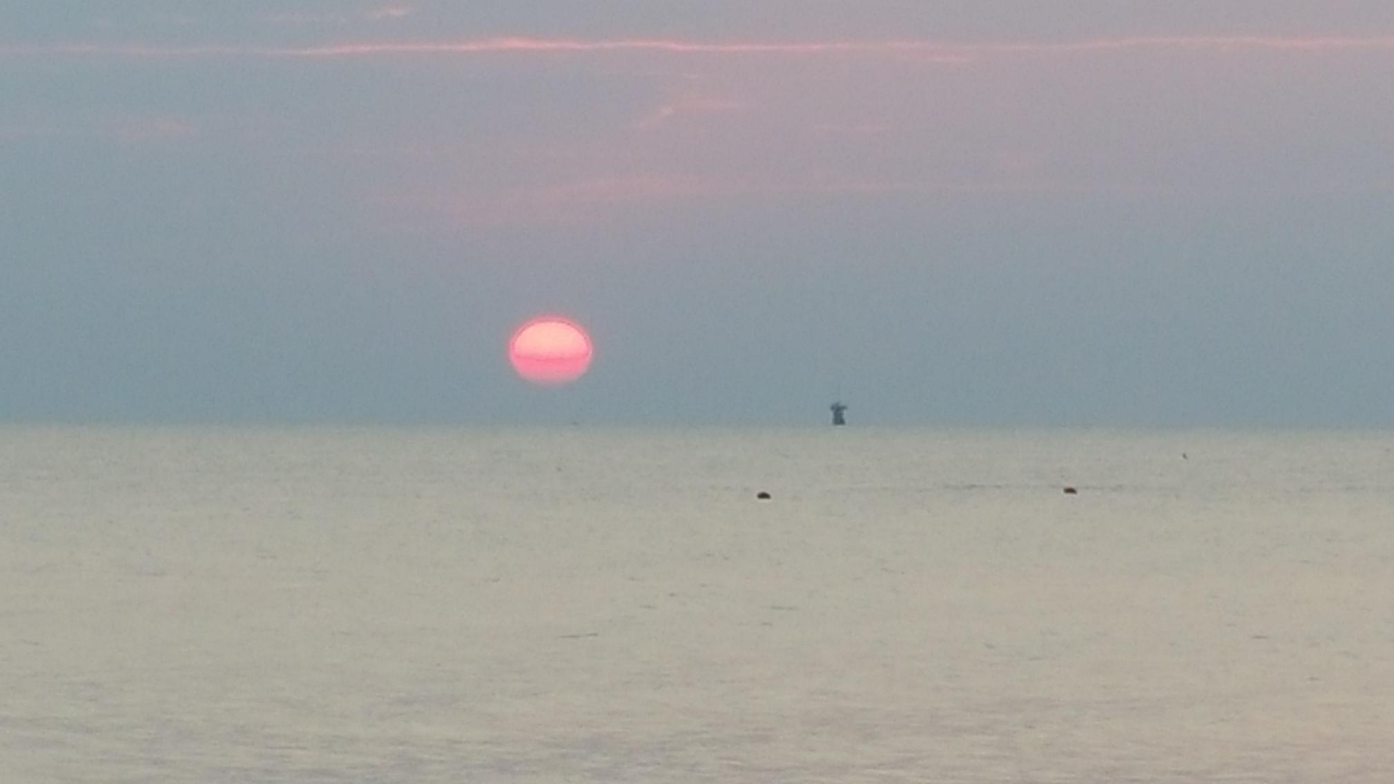 Nome:   20150813_061037.jpg
Visite:  524
Grandezza:  91.1 KB