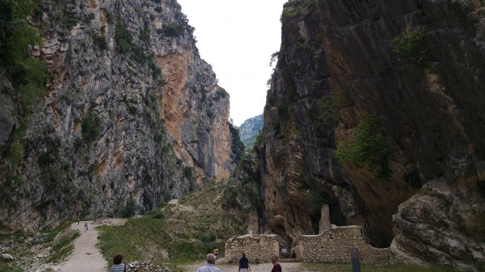 Nome:   20150810_155725.jpg
Visite:  532
Grandezza:  99.0 KB