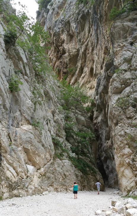 Nome:   20150810_155721media.jpg
Visite:  528
Grandezza:  95.9 KB