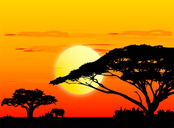 Nome:   africa.jpg
Visite:  8023
Grandezza:  46.7 KB