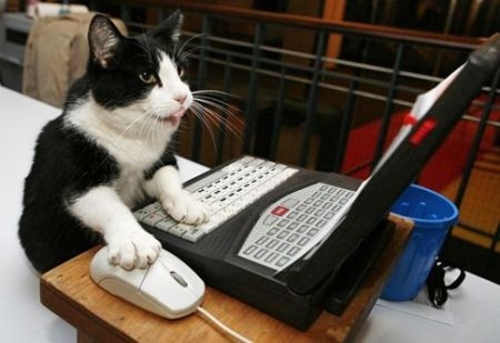 Nome:   gatto-al-computer.jpg
Visite:  565
Grandezza:  35.7 KB