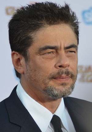 Nome:   Benicio_Del_Toro_-_Guardians_of_the_Galaxy_premiere_-_July_2014_(cropped).jpg
Visite:  176
Grandezza:  35.8 KB