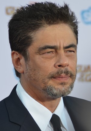 Nome:   Benicio_Del_Toro_-_Guardians_of_the_Galaxy_premiere_-_July_2014_(cropped).jpg
Visite:  155
Grandezza:  35.8 KB