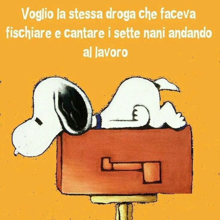 Nome:   318e85da863e8cfa4677c4f00d2666e4--peanuts-snoopy.jpg
Visite:  11819
Grandezza:  70.8 KB