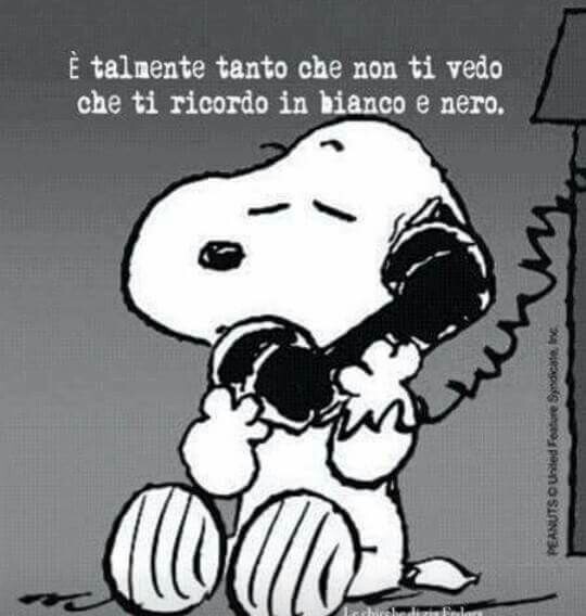 Nome:   11c076c953e4cd5a0e802737198617ed.jpg
Visite:  1144
Grandezza:  51.4 KB