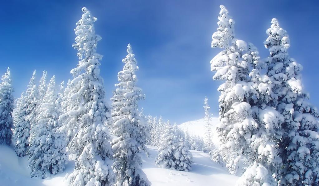 Nome:   -downloadfiles-wallpapers-1024_600-winter_wonderland_wallpaper_winter_nature_1100.jpg
Visite:  216
Grandezza:  91.9 KB