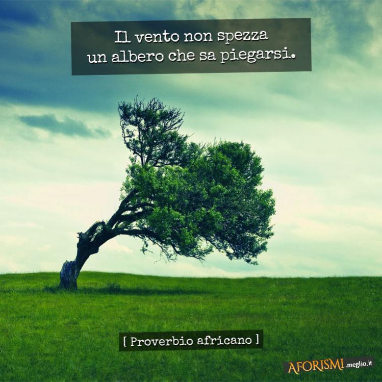 Nome:   il-vento-non-spezza-un-albero-che-sa-piegarsi.jpg
Visite:  201
Grandezza:  75.9 KB