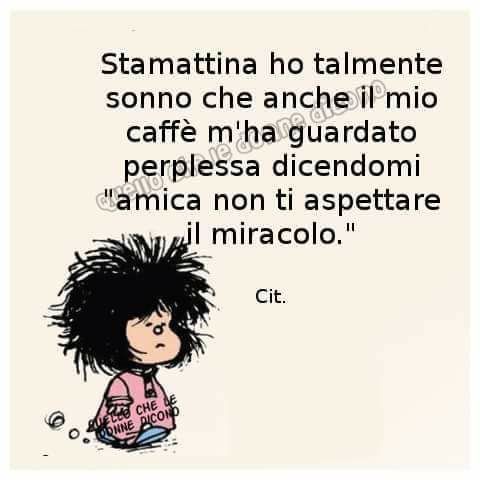 Nome:   24a3ce39a6b157ed49482454658e4732.jpg
Visite:  2454
Grandezza:  24.0 KB