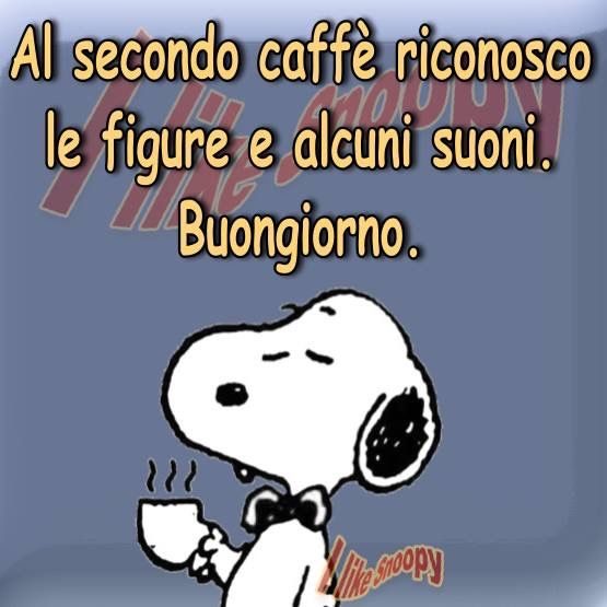 Nome:   IMG_4483.jpg
Visite:  1900
Grandezza:  41.4 KB