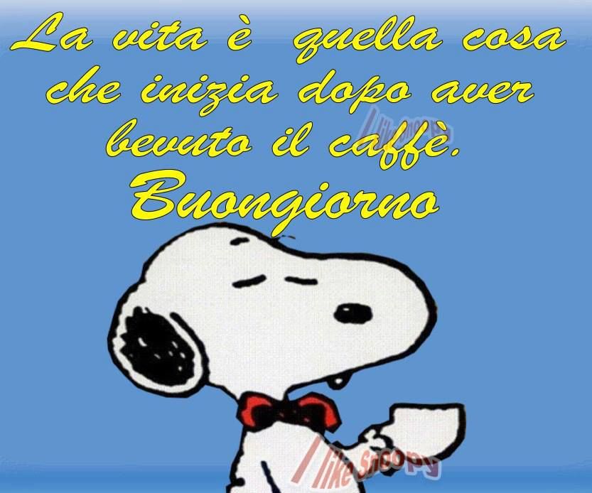 Nome:   snoopy.jpg
Visite:  2166
Grandezza:  77.4 KB
