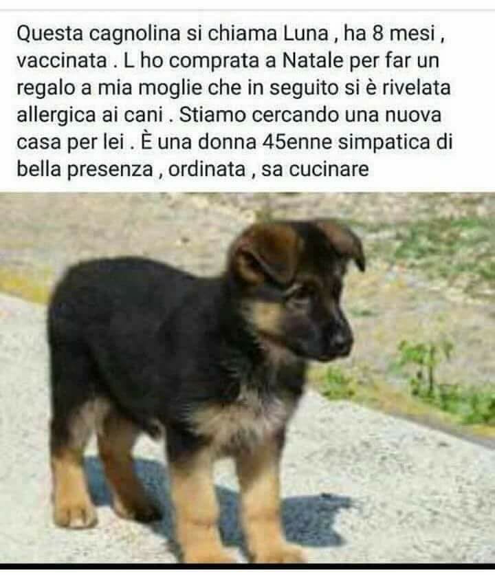 Nome:   IMG-20180619-WA0009.jpg
Visite:  495
Grandezza:  55.7 KB