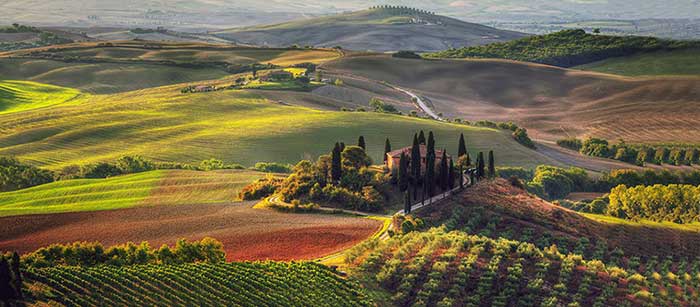 Nome:   toscana.jpg
Visite:  730
Grandezza:  44.3 KB