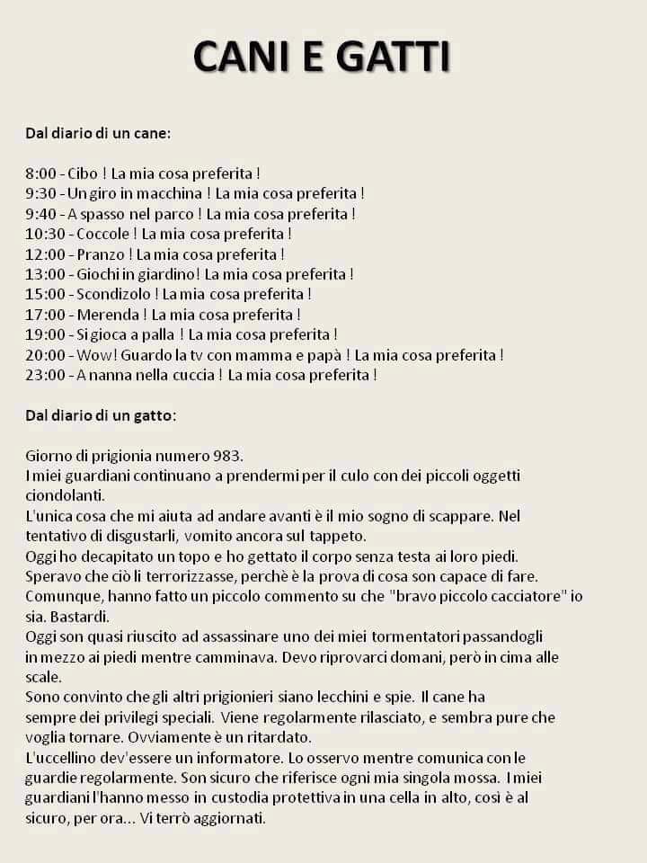 Nome:   FB_IMG_1557765708715.jpg
Visite:  1065
Grandezza:  72.2 KB