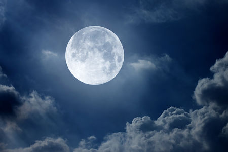 Nome:   luna_moon.jpg
Visite:  2618
Grandezza:  15.7 KB