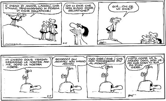Nome:   3BC.jpg
Visite:  3701
Grandezza:  48.2 KB